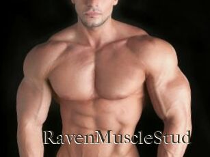 RavenMuscleStud