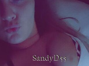 SandyD55