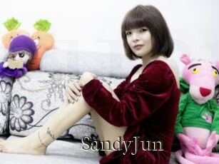 SandyJun