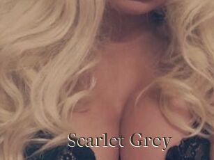 Scarlet_Grey