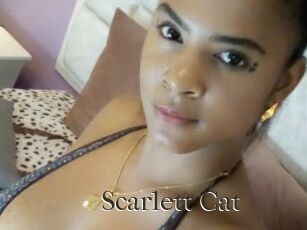 Scarlett_Cat