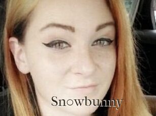 Sn0wbunny