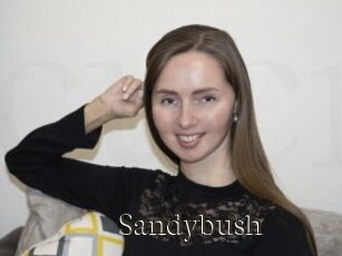 Sandybush