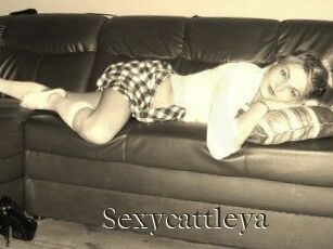 Sexycattleya