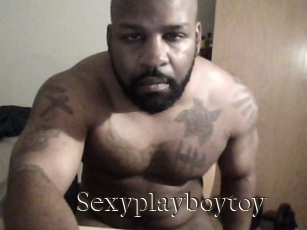 Sexyplayboytoy