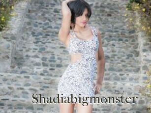 Shadiabigmonster