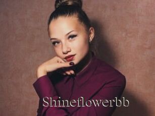 Shineflowerbb