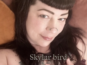 Skylar_bird