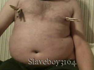 Slaveboy3164