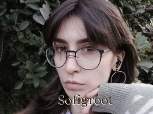 Sofigroot