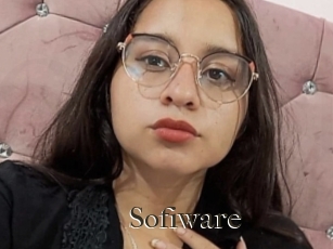 Sofiware