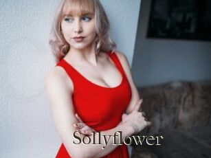 Sollyflower