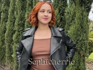 Sophicherrie