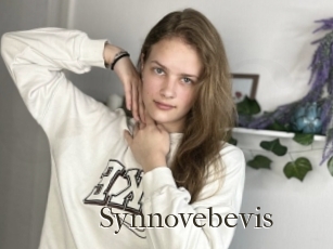 Synnovebevis