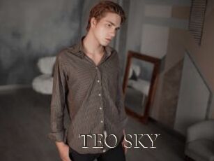 TEO_SKY