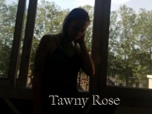 Tawny_Rose