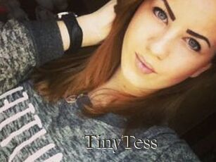 TinyTess