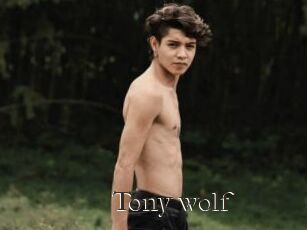 Tony_wolf