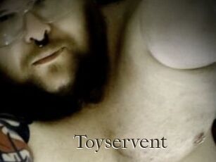 Toyservent