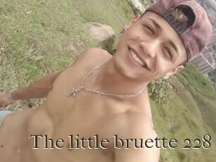 The_little_bruette_228