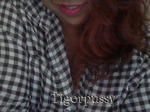 Tigerpussy