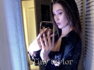 Tiny_taylor