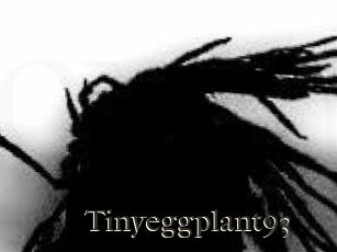 Tinyeggplant93