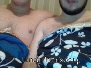 UncutPenis0214