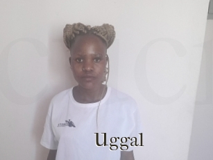 Uggal