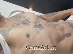 VeinsAdam Cum crazy amateurs