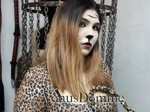 VenusDomme
