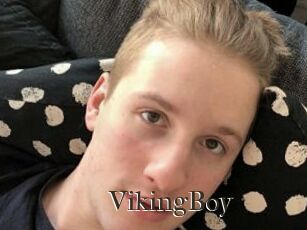 VikingBoy