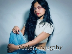 Vaalerynaugthy