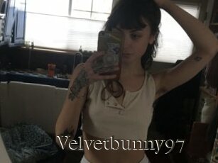 Velvetbunny97