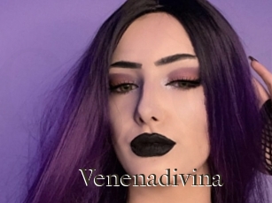 Venenadivina