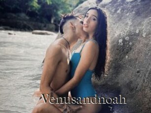 Venusandnoah