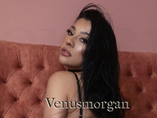 Venusmorgan