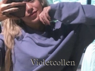 Violetcollen