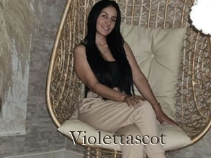 Violettascot