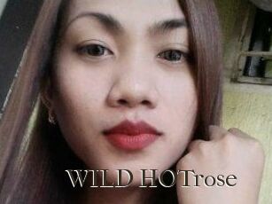 WILD_HOTrose