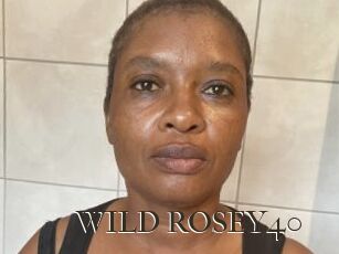 WILD_ROSEY40