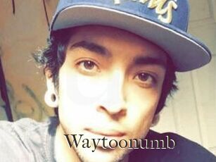 Waytoonumb