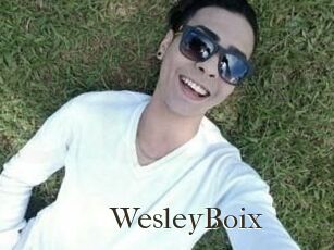 Wesley_Boix