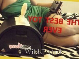 WildOrchid_