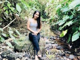 Wild_Rose18