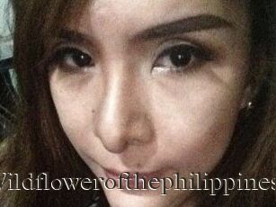 Wildflowerofthephilippines