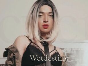 Wetdestiny