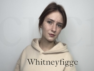 Whitneyfigge