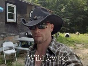 Wildcowboy