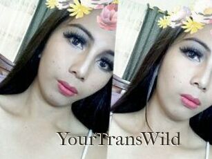 YourTransWild